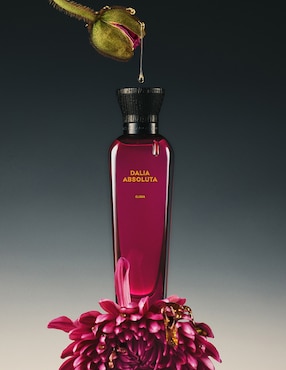 Parfum Adolfo Dominguez Dalia Absoluta para mujer