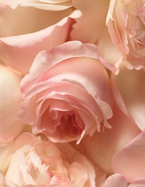 Eau de parfum Polo Ralph Lauren Romance para mujer