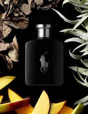 Eau de toilette Polo Ralph Lauren Polo Black para hombre