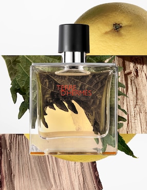 Eau de parfum Hermès Terre d'Hermès para hombre