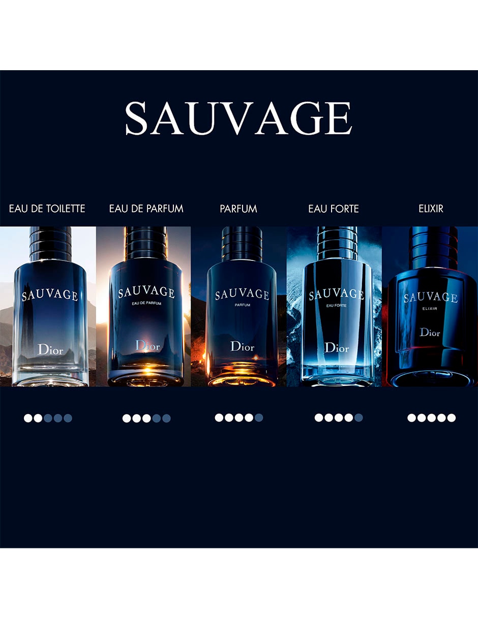 Toilette Dior Sauvage Hombre Perfume De Hombre Dior Sauvage 100 Ml