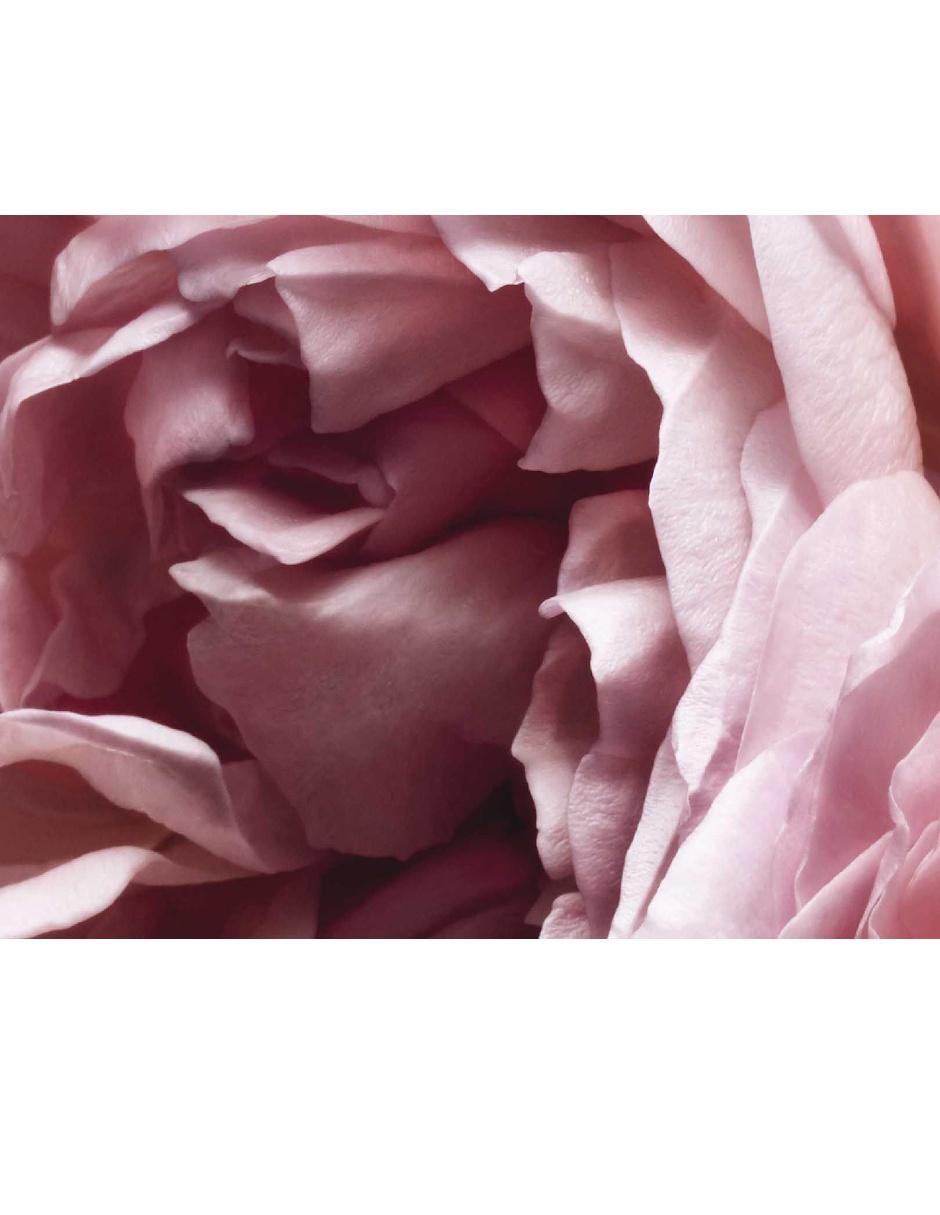 Eau de parfum para mujer 4