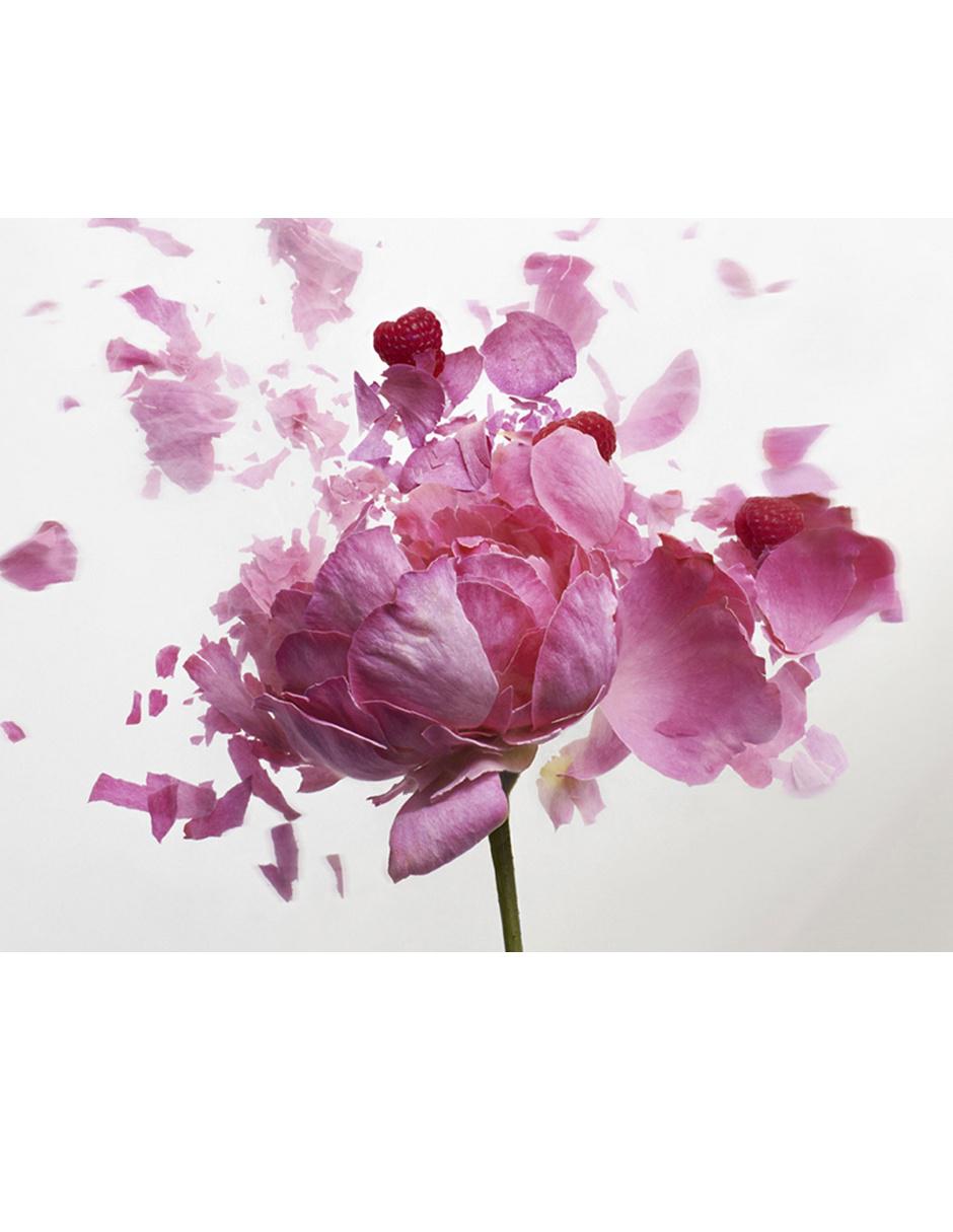 Eau de toilette Rose Extase para mujer 6