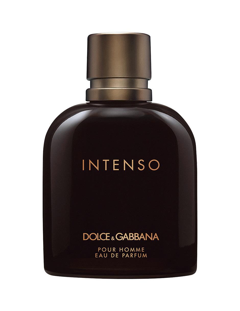 Arriba 61+ imagen dolce gabbana perfume hombre intenso - Abzlocal.mx