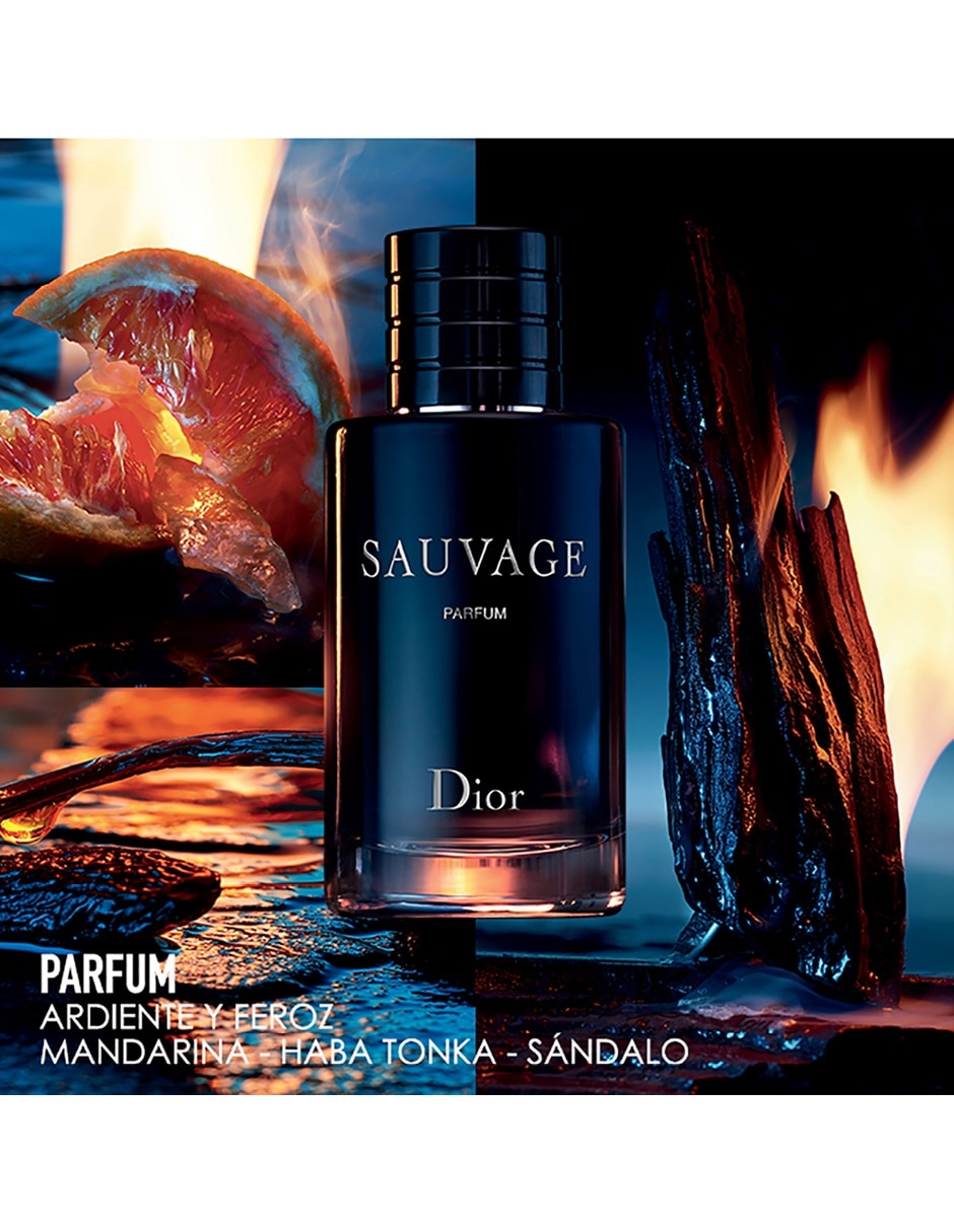 Dior SAUVAGE ディオール ソバージュ オードゥトワレEDT？ - 香水(男性用)