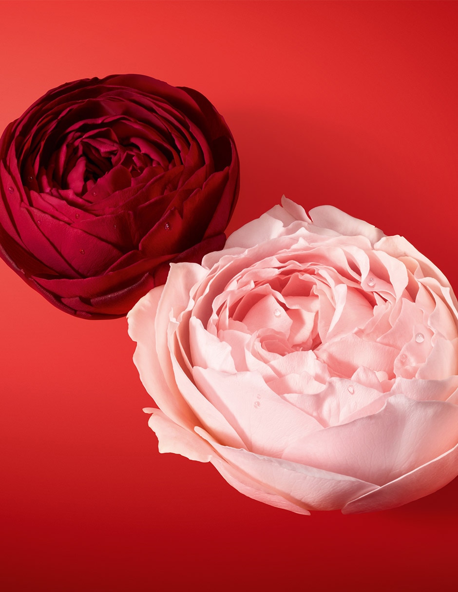 Eau de parfum Sì Passione para mujer 8