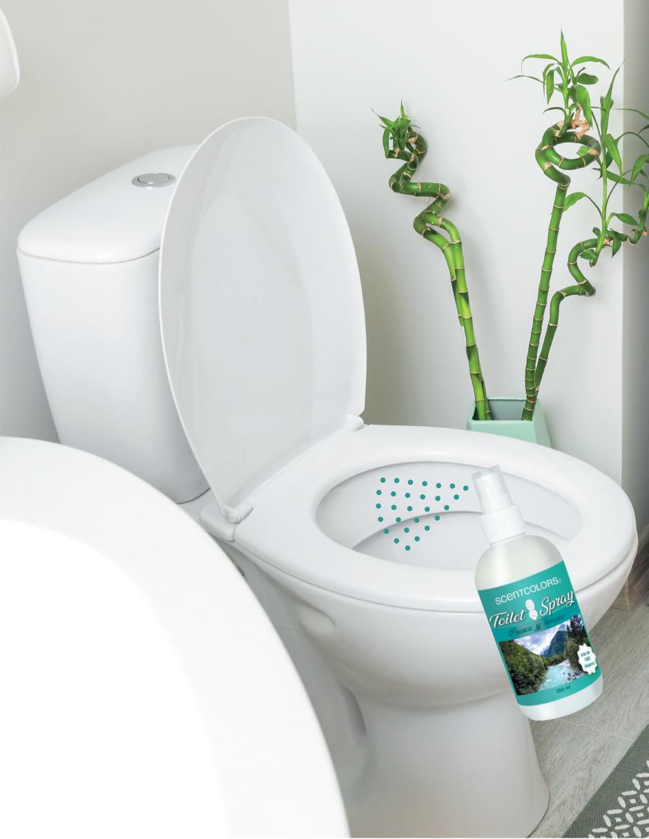 Aromatizante eliminador de olores de aroma floral 2