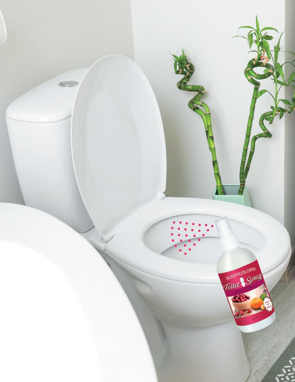 Aromatizante eliminador de olores de aroma frutal 2