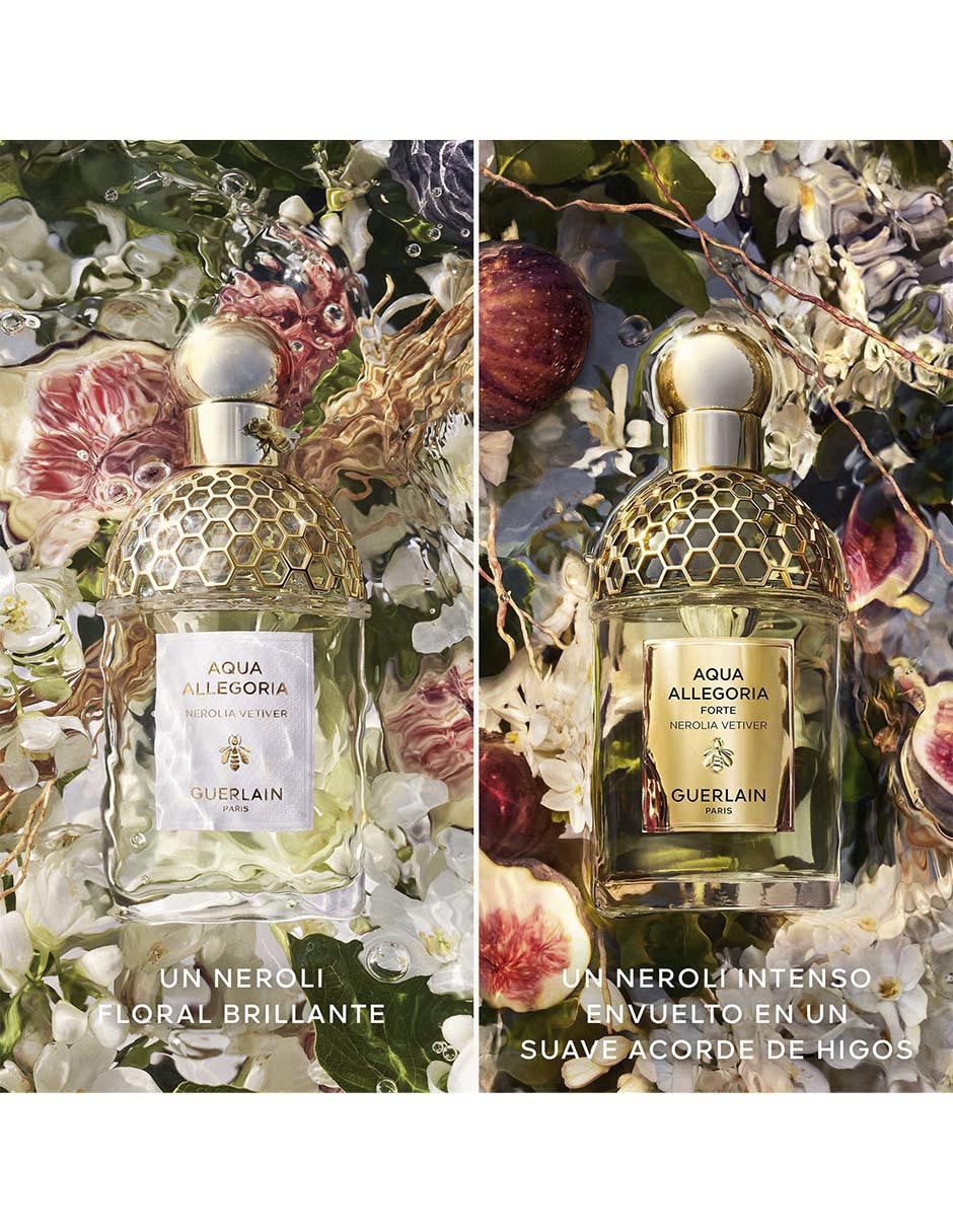 Eau de parfum Aqua allegoria unisex 6