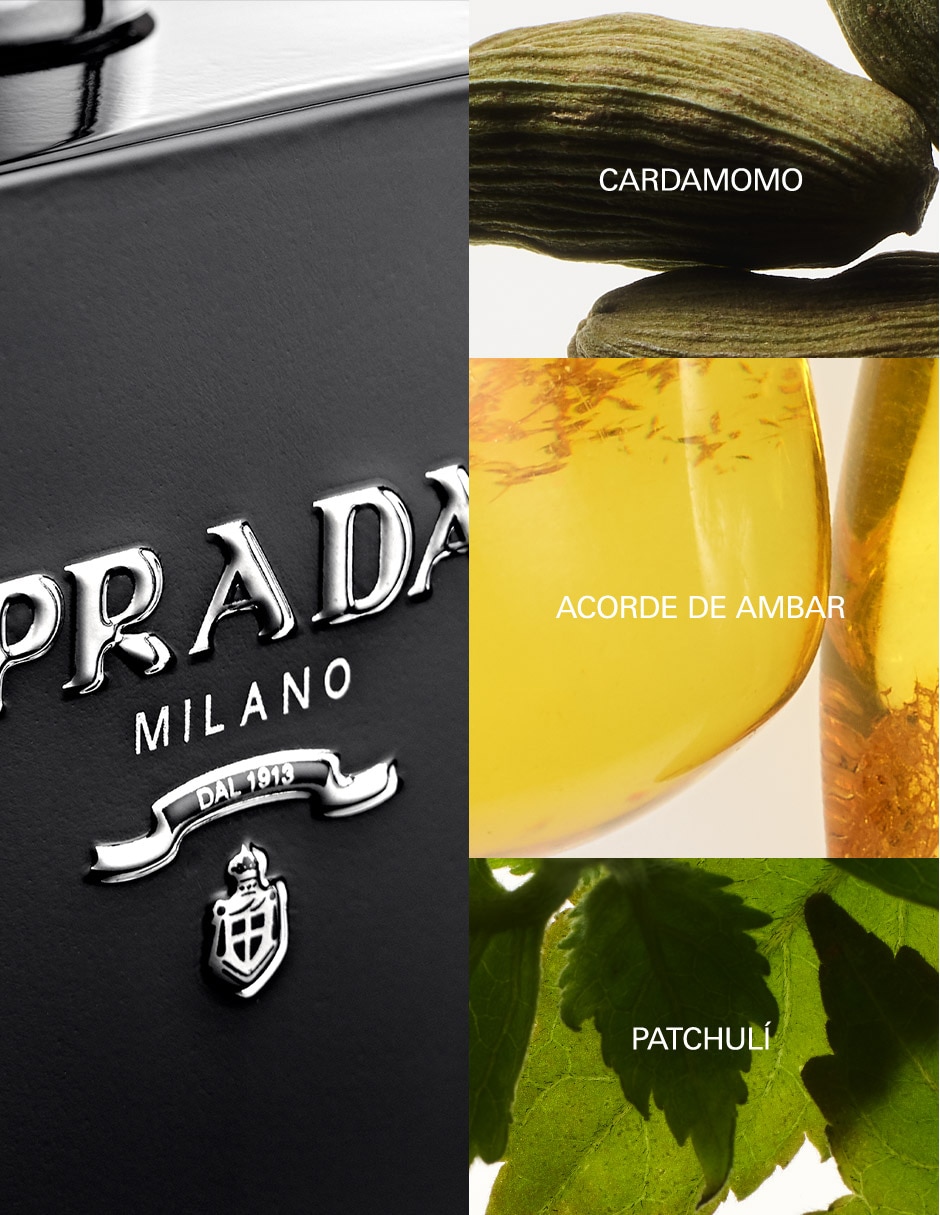 Eau de parfum L'homme para hombre 5