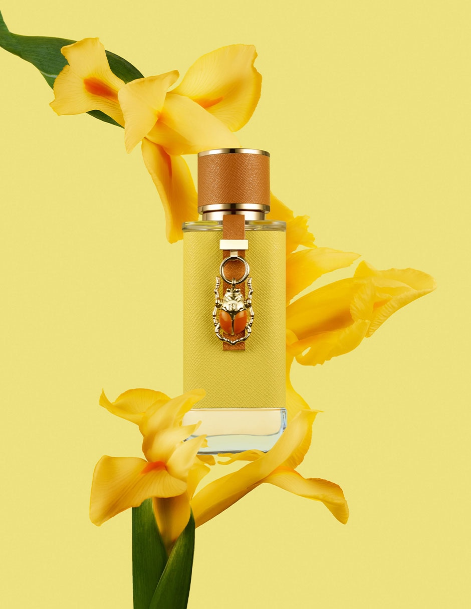 Eau de parfum Luckycharms lucky charm para mujer 4