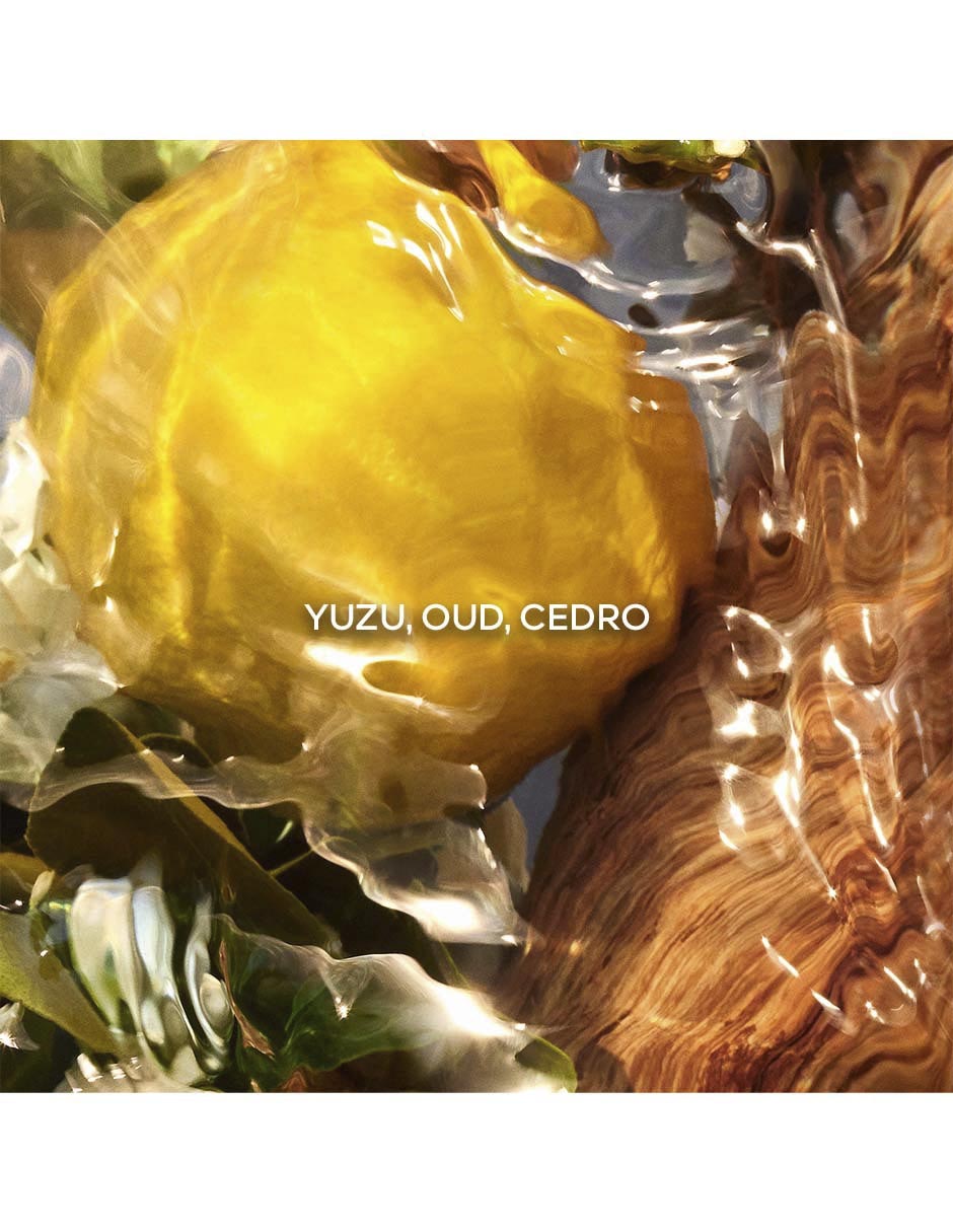 Eau de parfum Aqua Allegoria Oud Yuzu unisex 4