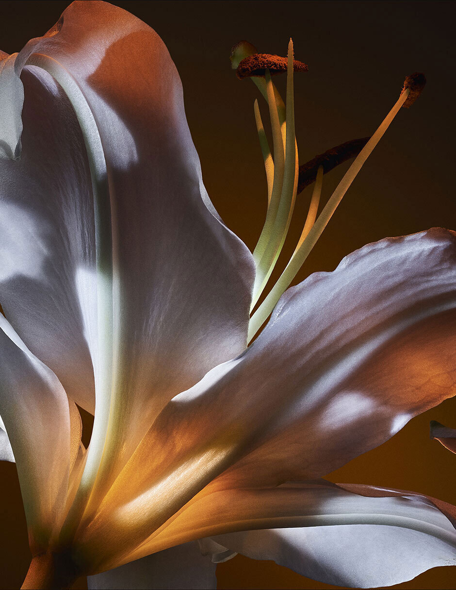 Eau de parfum Libre Flowers & Flames para mujer 6