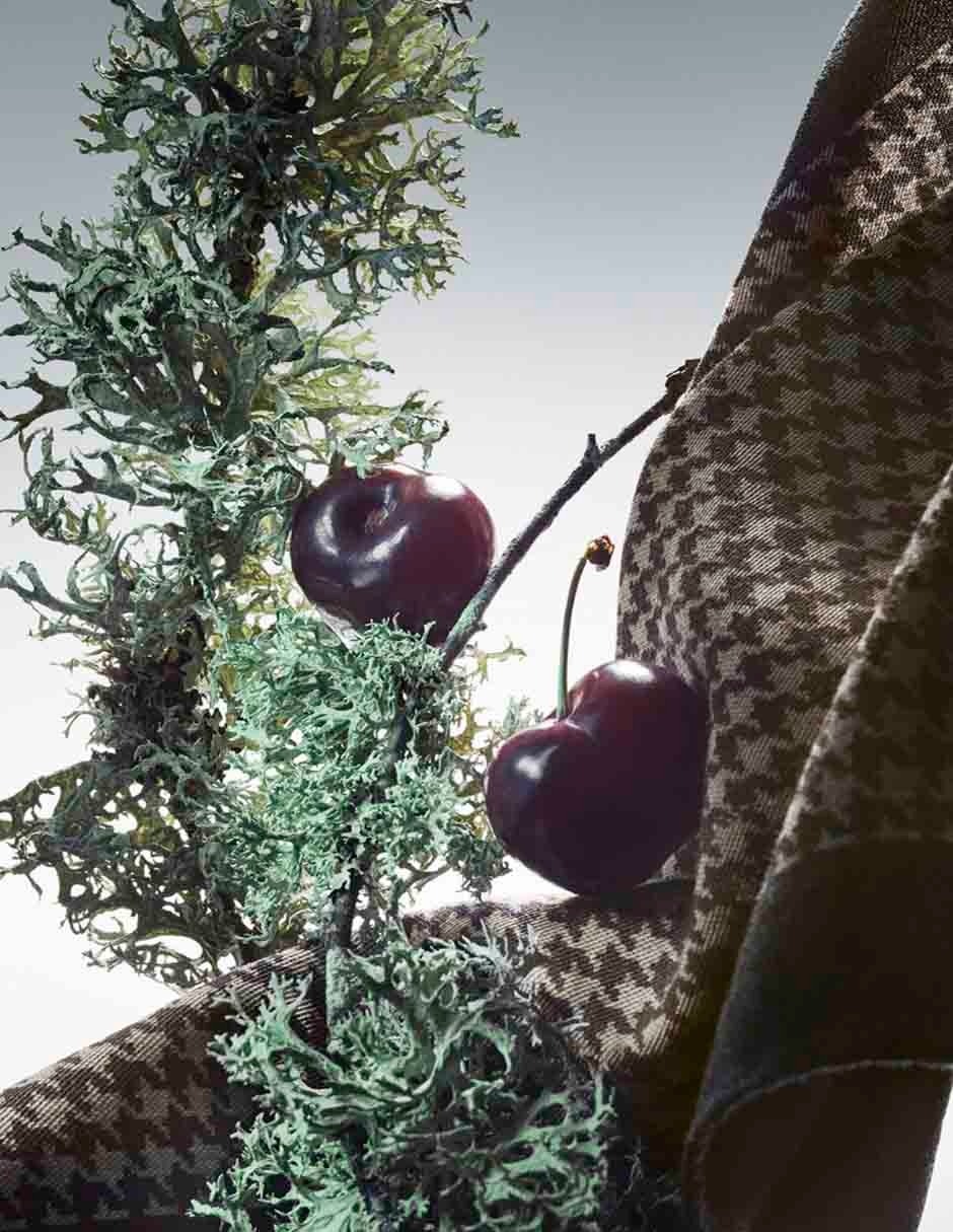 Eau de parfum Boss The Collection unisex 5
