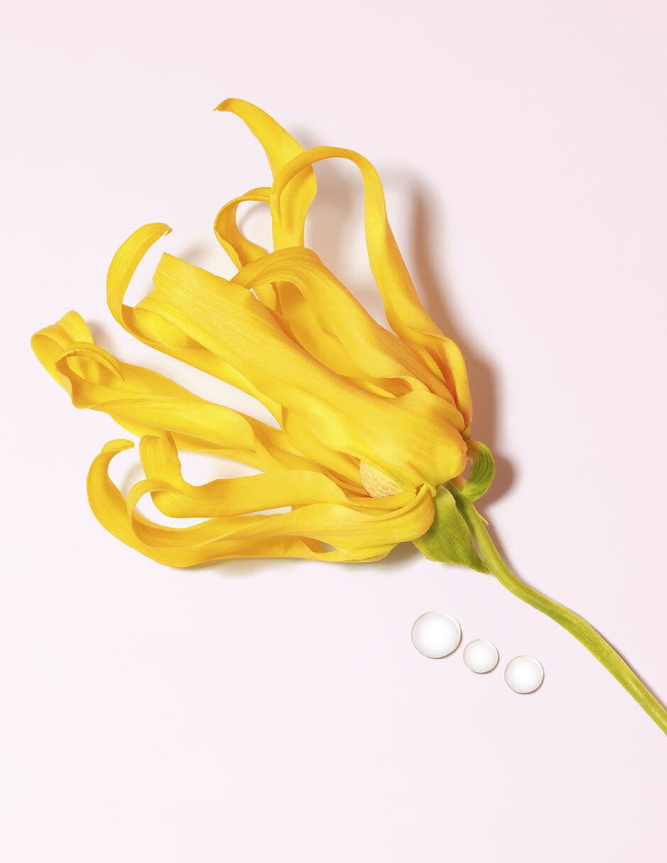 Eau de parfum My Way Ylang para mujer 7
