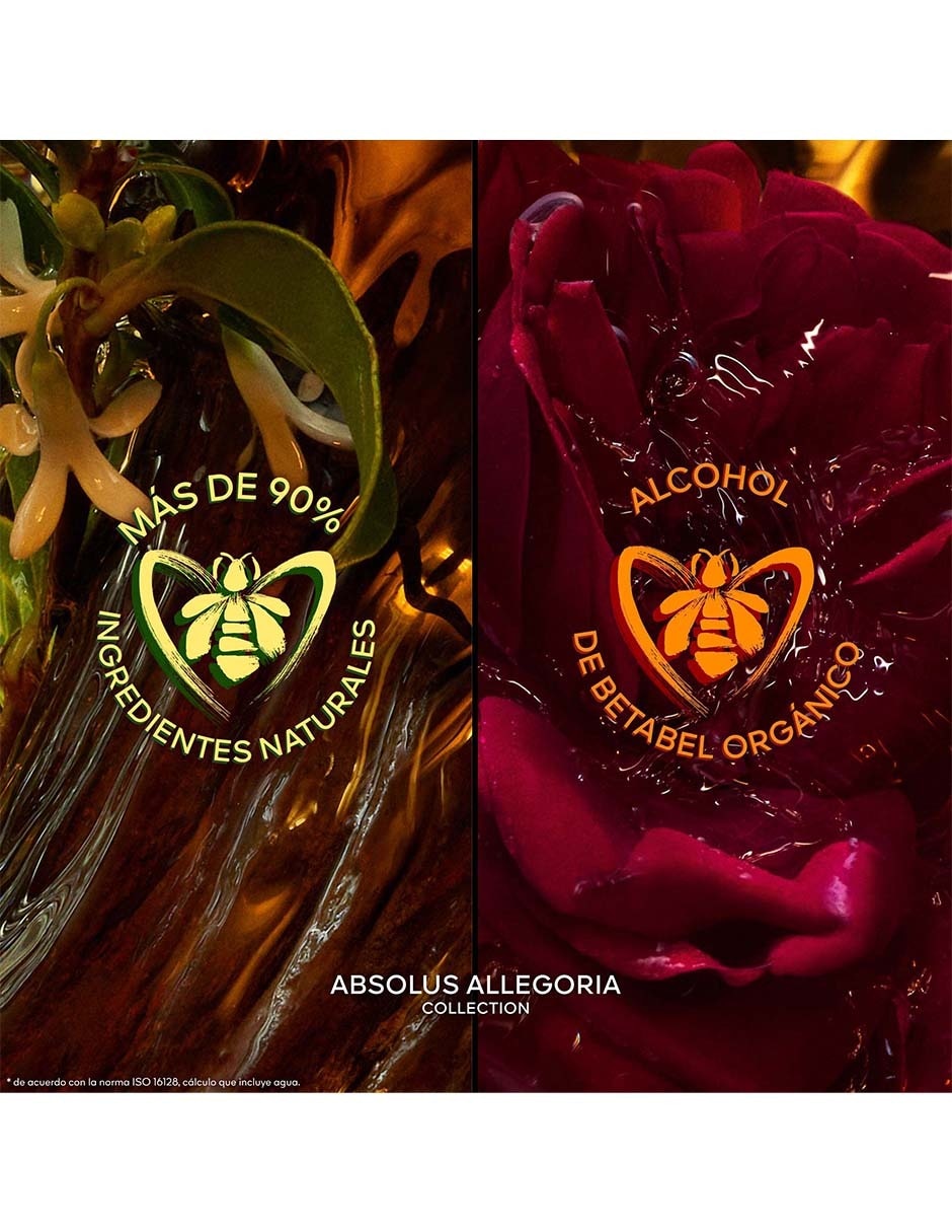Eau de parfum Absolus Allegoria Ambre Samar unisex 3