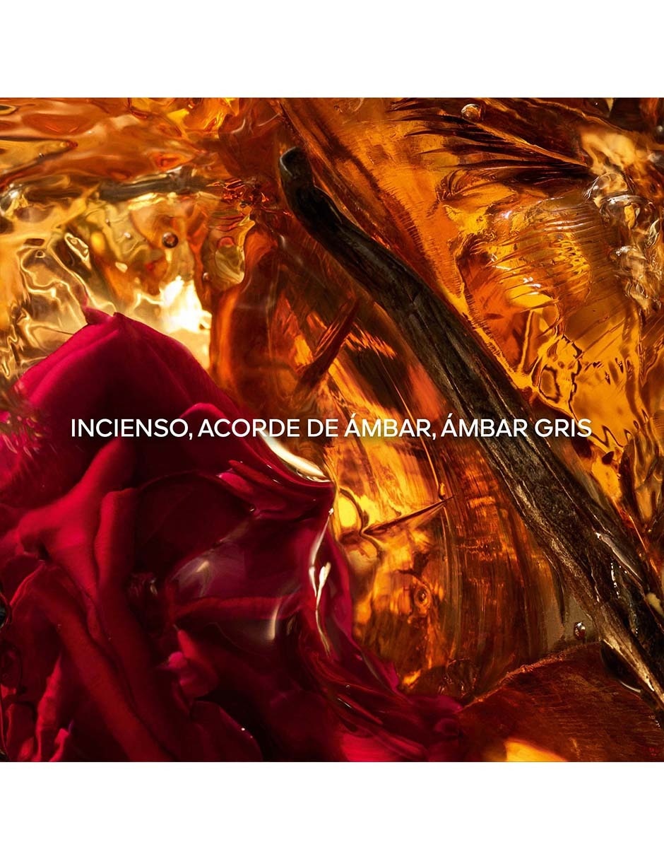 Eau de parfum Absolus Allegoria Ambre Samar unisex 4