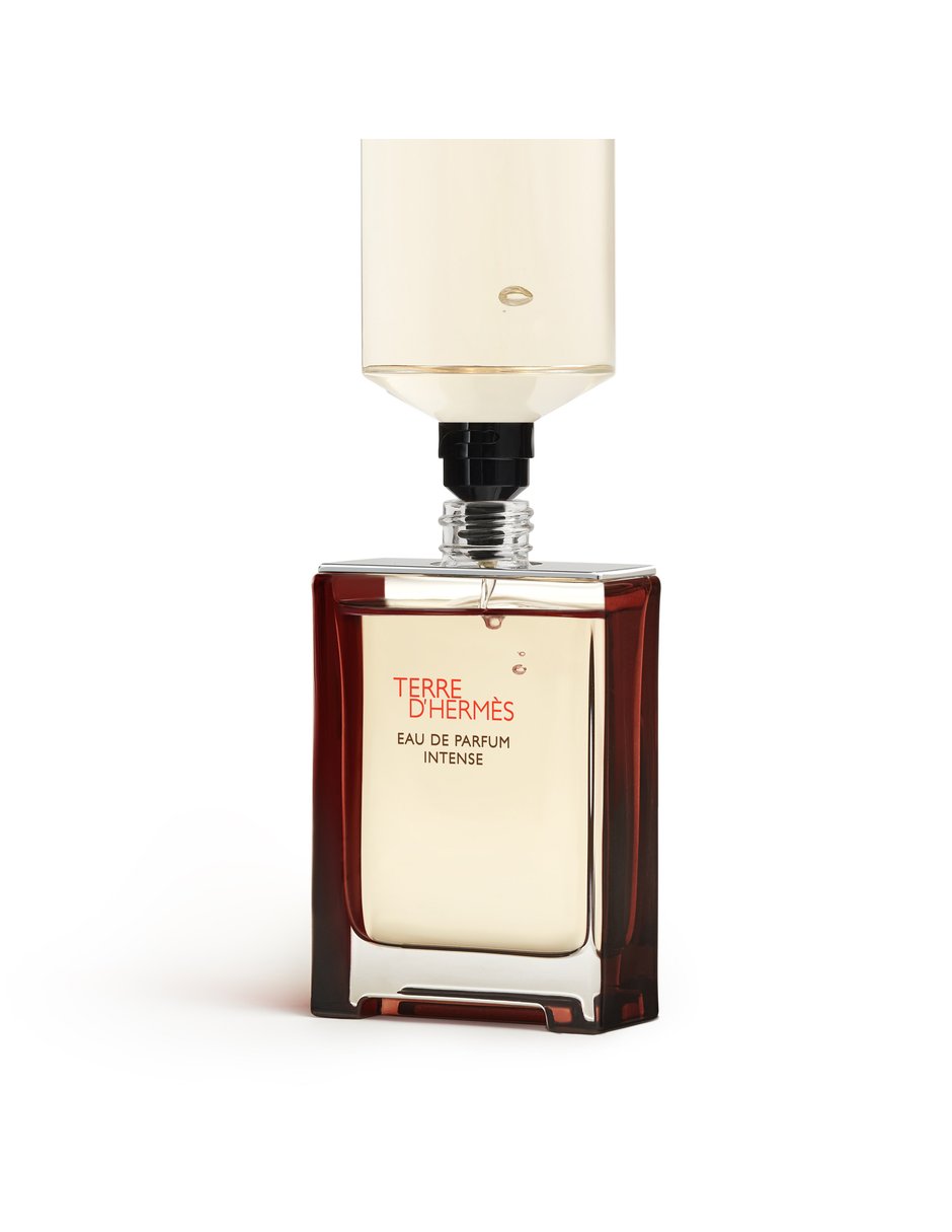 Eau de parfum Hermès Terre D'Hermès para hombre 2