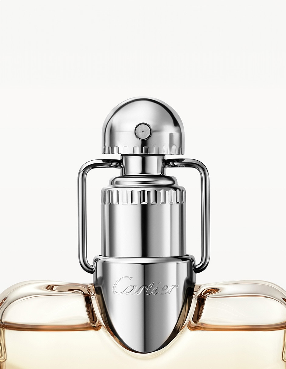 Eau de parfum Declaration para hombre 5
