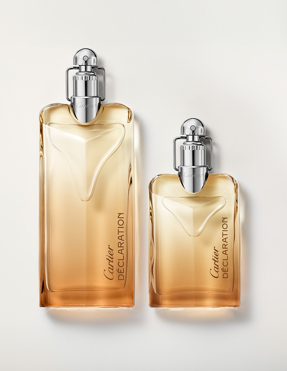 Eau de parfum Declaration para hombre 7