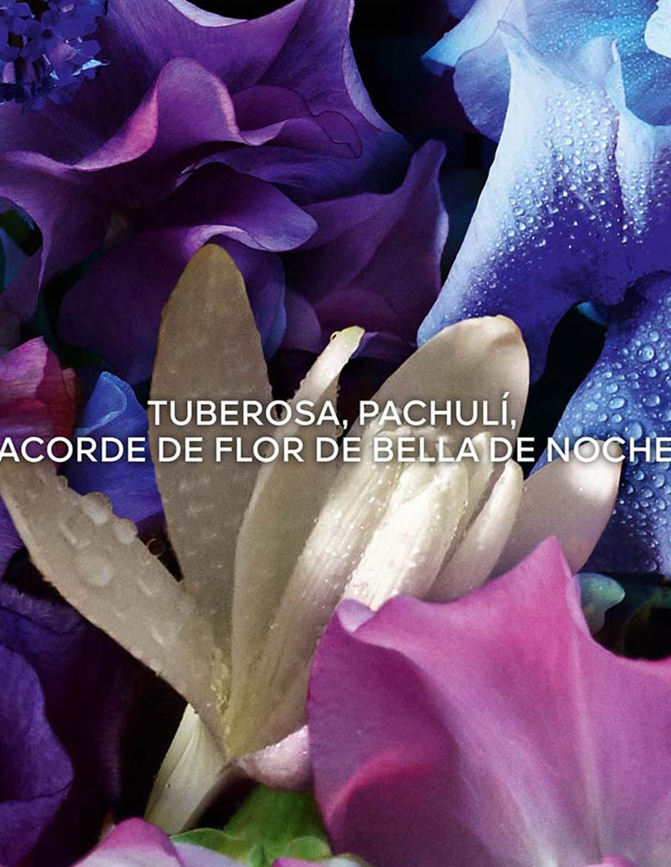 Eau de parfum Absolu Allegoria unisex 3