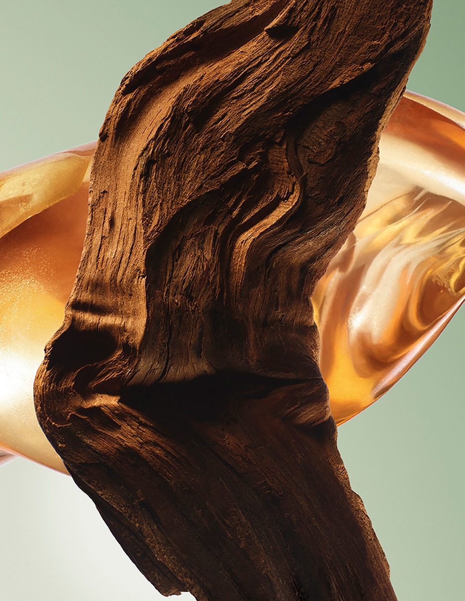 Eau de parfum Paradigme para hombre 10
