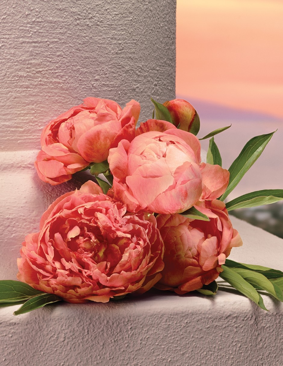 Eau de parfum Dolce& Devotion para mujer 5
