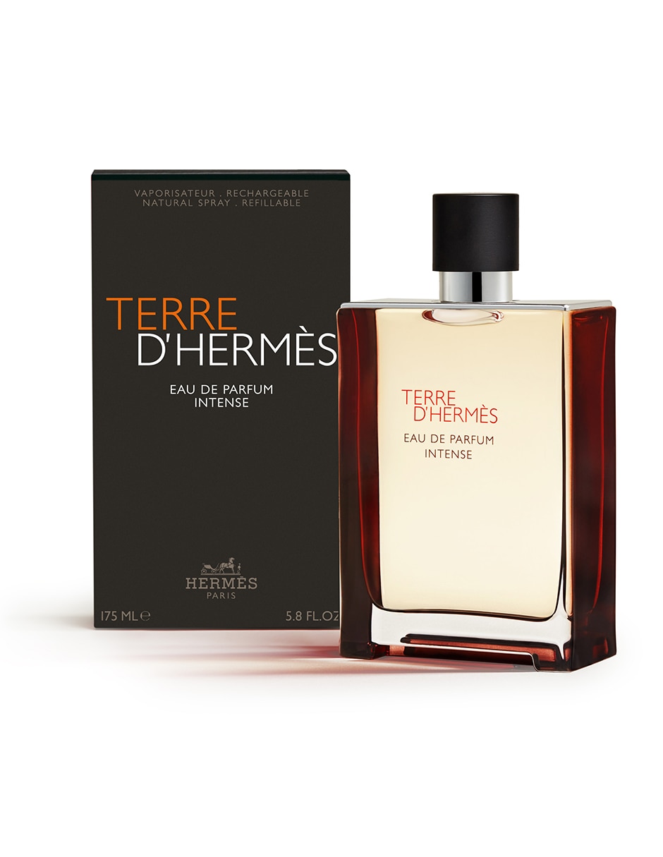 Eau de parfum Terre Intense para hombre 2