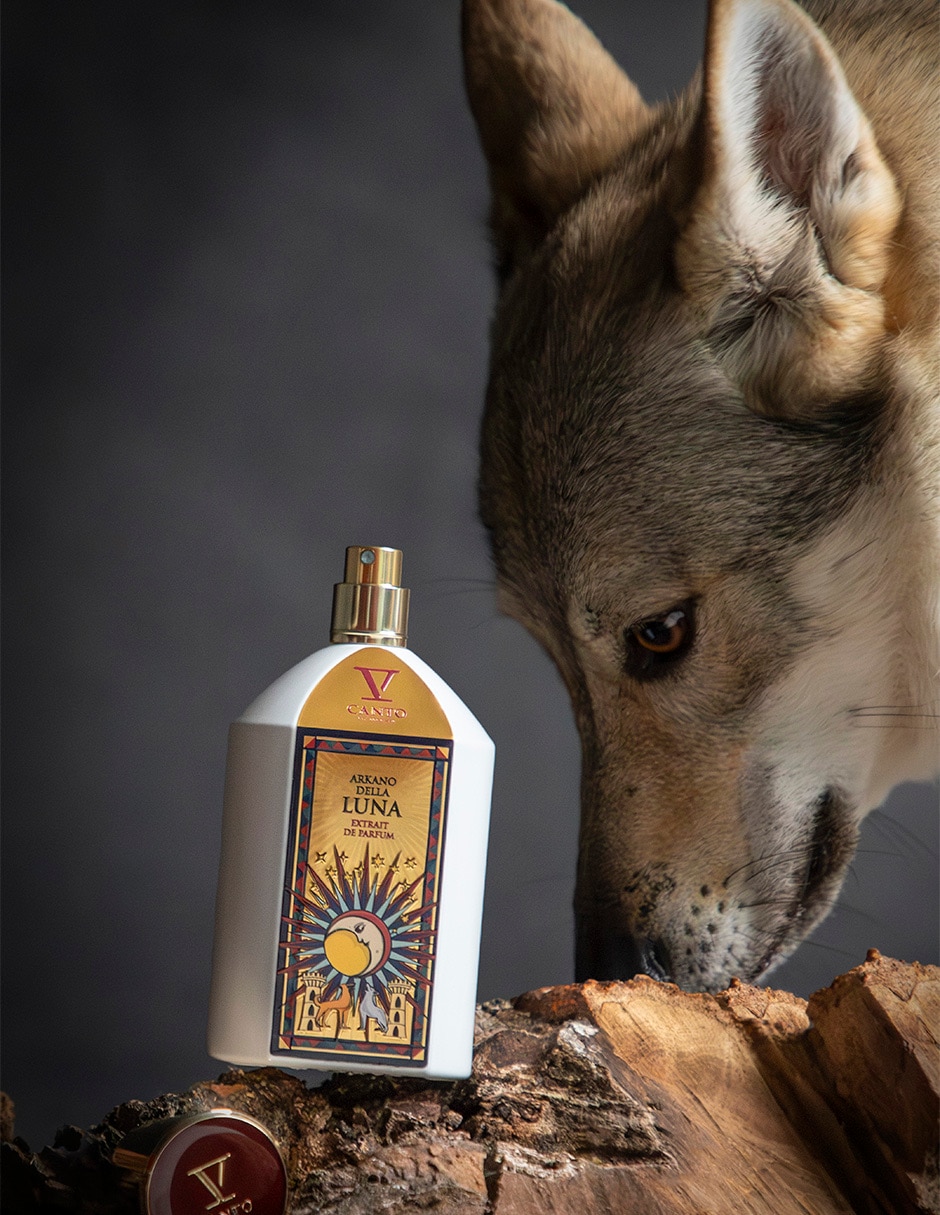 Extracto de perfume Arkano unisex 4