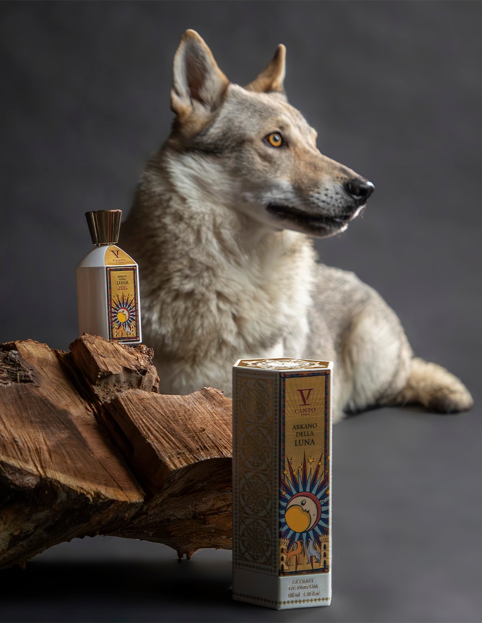 Extracto de perfume Arkano unisex 6
