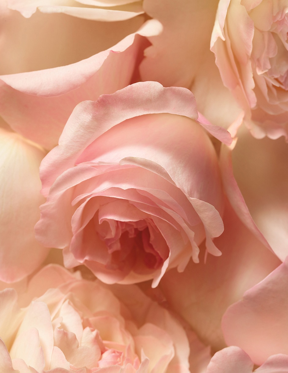 Eau de parfum Romance para mujer 6