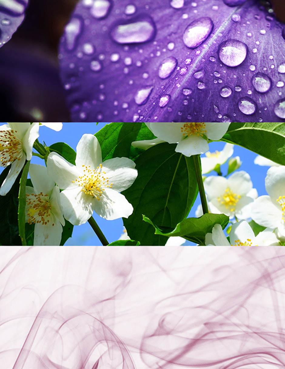 Eau de toilette Daisy para mujer 4